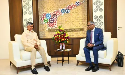 Solar power plants to hotels: Tata Group mulls massive investment in AP