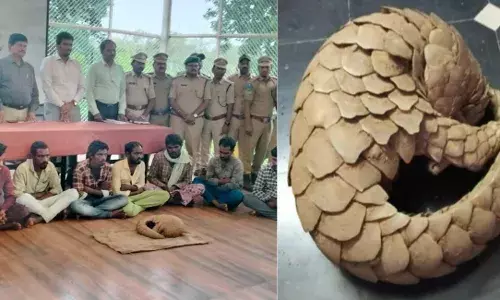 In true filmi style, DRI Hyderabad officers posed as buyers to bust gang selling Pangolin