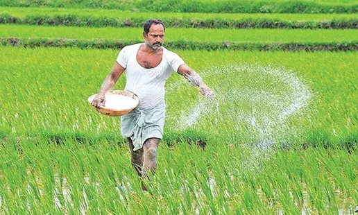 Telangana govt’s announcement of Rs 500 bonus on fine paddy pushes cultivation up by 61 per cent