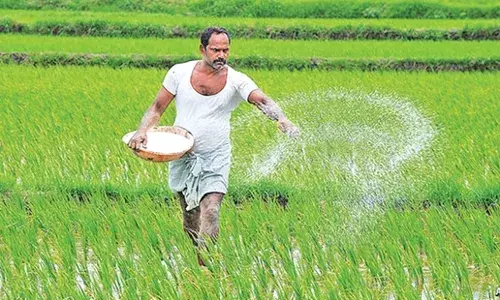 Telangana govtās announcement of Rs 500 bonus on fine paddy pushes cultivation up by 61 per cent