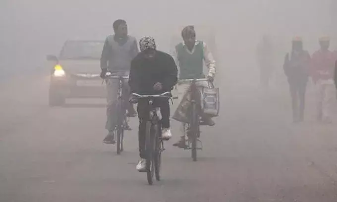 Cold Wave Alert: Telangana govt issues health advisory