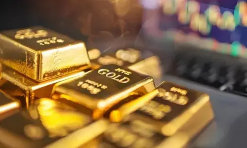 19 kg gold worth Rs 13 cr burgled from bank in Warangal