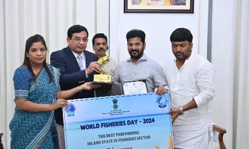 Telangana fish production reaches 4.56 lakh tons in 2024; Rs 7,059 crores contribution to State