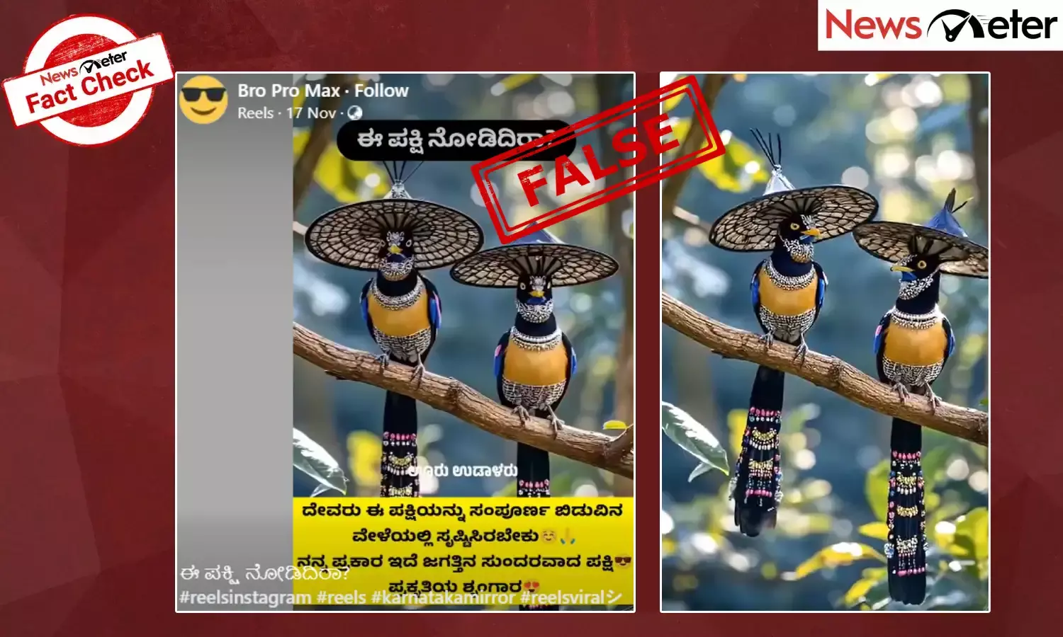 Fact Check: AI ಸಹಾಯದಿಂದ ಮಾಡಿದ ಸುಂದರ ಪಕ್ಷಿಗಳ ವೀಡಿಯೊ ನಿಜವೆಂದು ವೈರಲ್