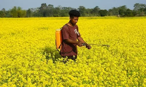 Hyderabad: How IIOR ās biopolymer technology will revolutionize Indian farming