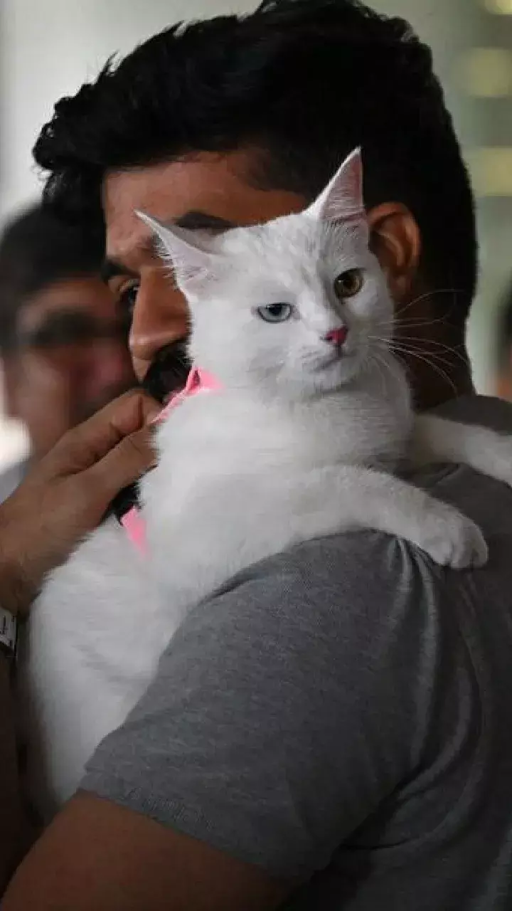 Eva becomes first pet to land at Kochi Airport after its AQCS Certification