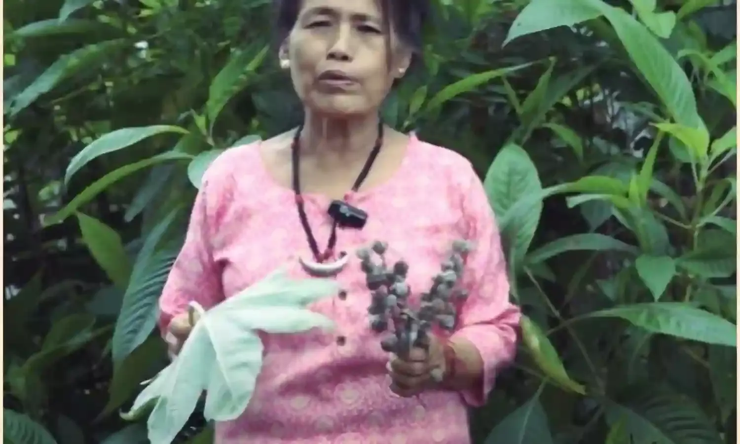 Solution to every disease lies in jungle, says Arunachal herbal medicine expert Yanung Jamoh Lego