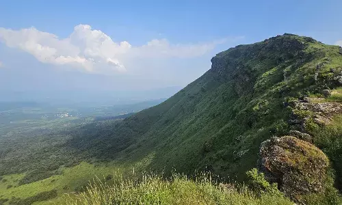 ISFR 2021: Andhra, Telangana  forest cover increases in 5 years; Delhi’s declines