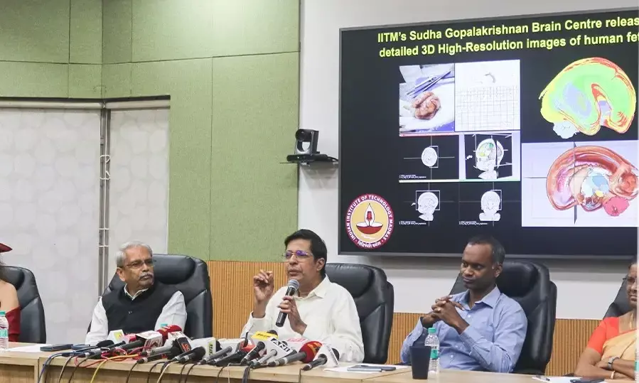 In a first, IIT Madras releases most detailed 3D high-resolution images of fetal brain