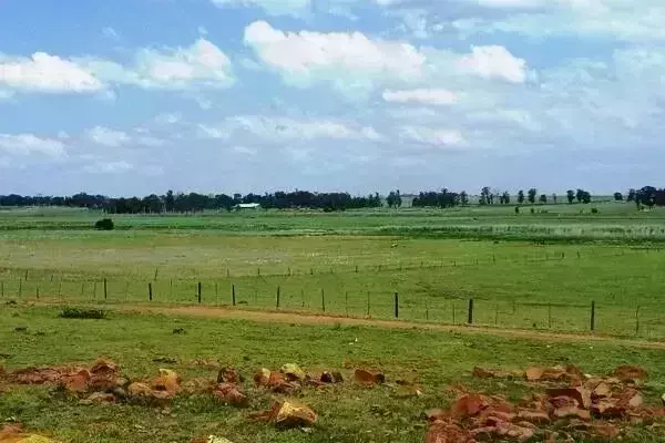 Pre-launch offer fail: Prathishta Properties in KPHB fails to register plot, ordered to refund Rs 8.7 lakhs