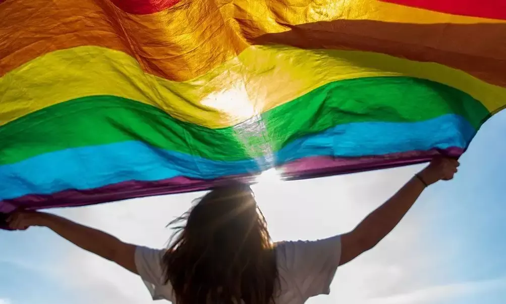 Andhra HC upholds lesbian couple’s right to live together, parents told not to interfere