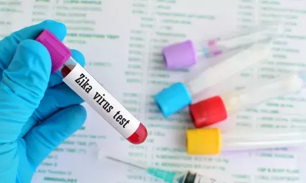 Suspected Zika case: Sample from Nellore sent to NIV Pune for confirmation