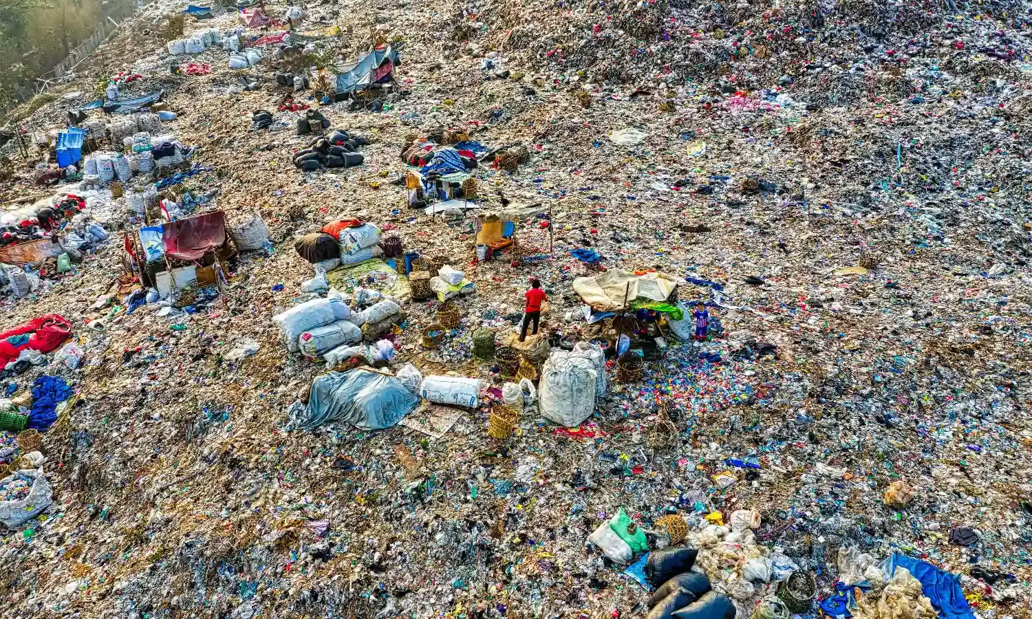 New study reveals man-made plastics, buildings could be storing 8.4B tonnes of carbon