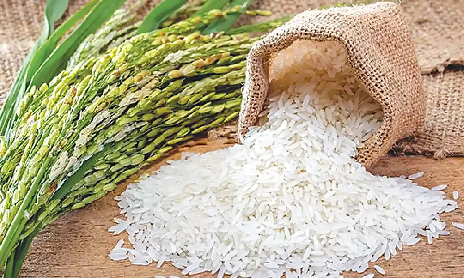 Civil Society flags fortified rice distribution through PDS in Telangana; raises health concerns