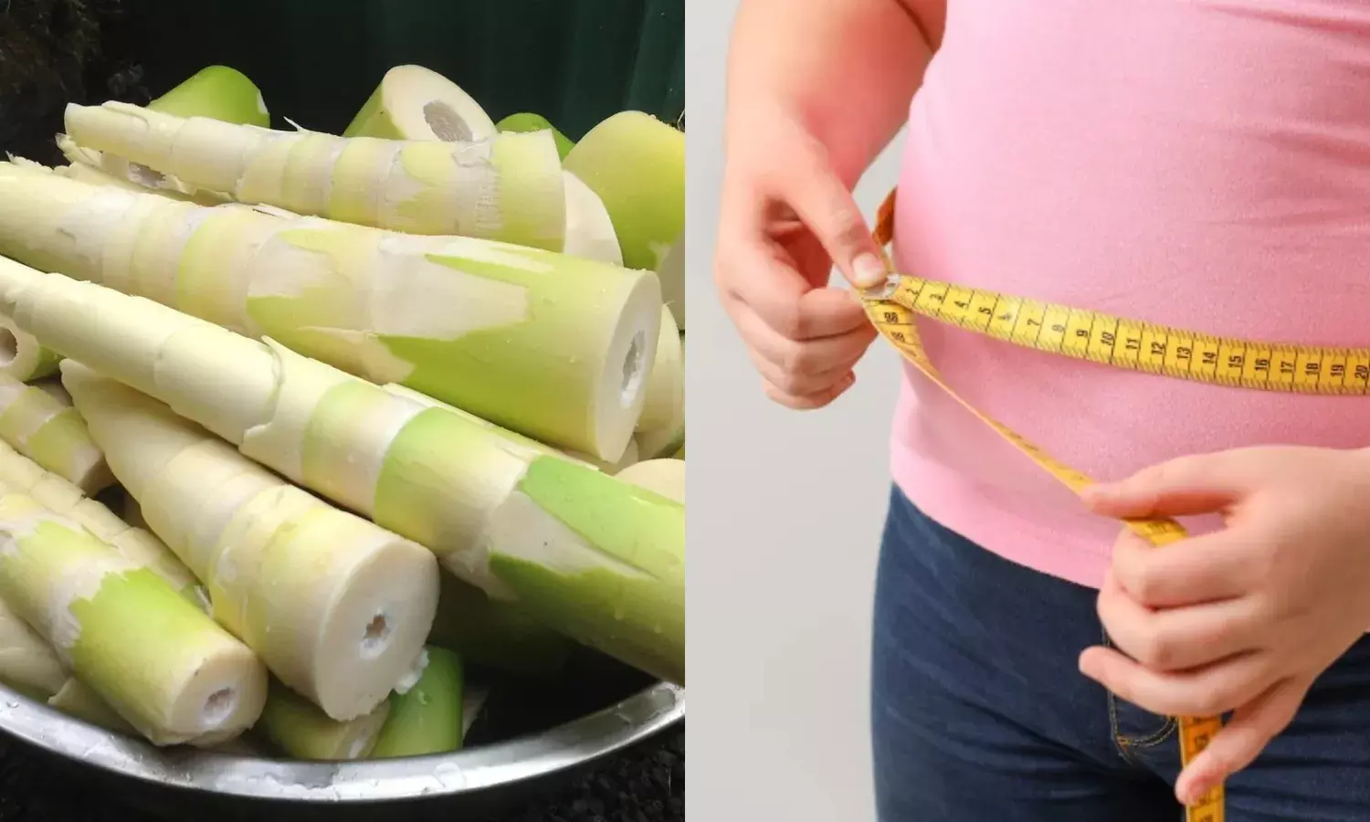 Indians with high BMI to grow at 4.1- 6.2%;  fermented bamboo may help prevent obesity