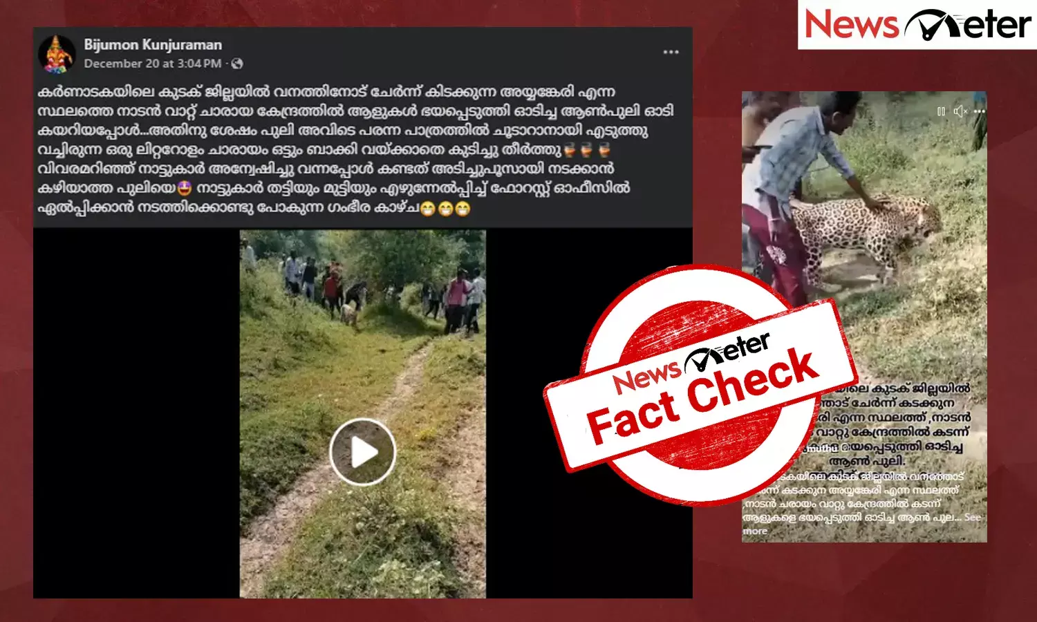 Fact Check: കര്‍ണാടകയില്‍ ചാരായം കഴിച്ച പുള്ളിപ്പുലി? വീഡിയോയുടെ വാസ്തവമറിയാം