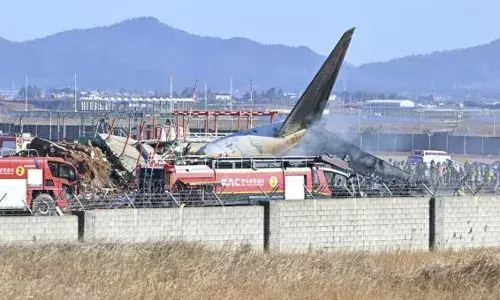 Plane bursts into flames after skidding off runway at airport in South Korea, killing 120 people