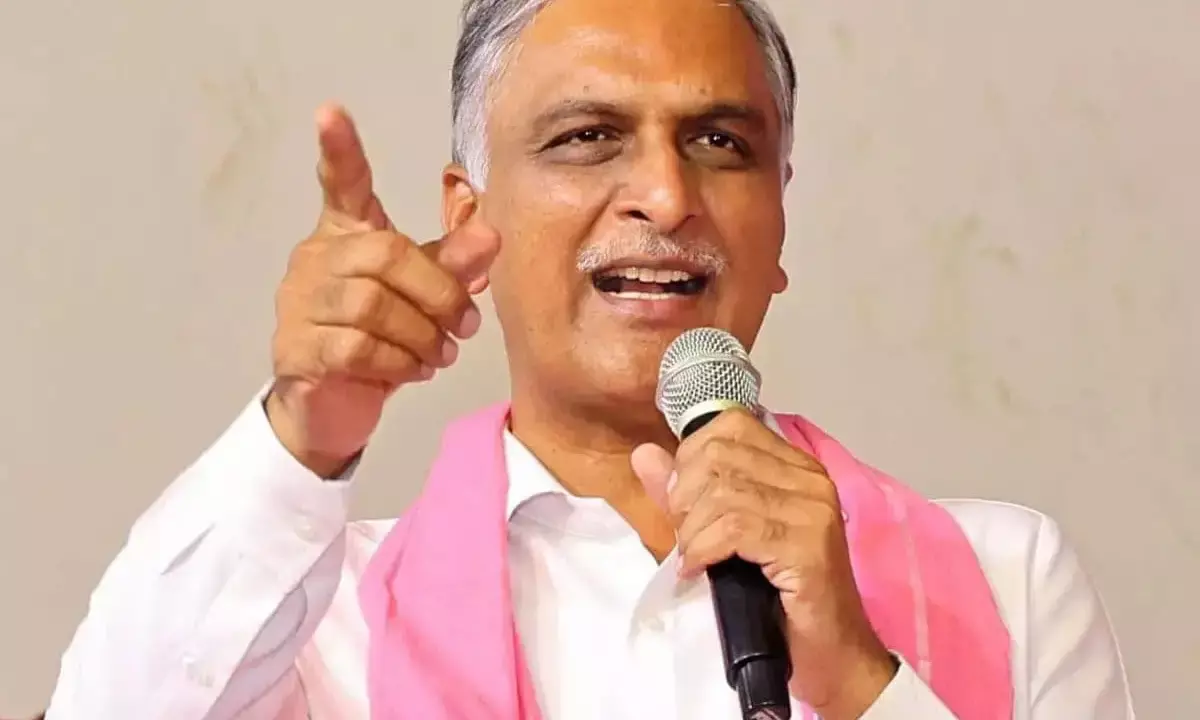 Phone tapping: Telangana HC extends protection from arrest to ex-minister Harish Rao till Jan 9
