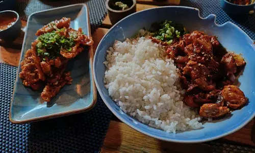 Asia on my plate: Try authentic Asian cuisine at Hibacci North East Asian Kitchen in Hyderabadās Banjara Hills