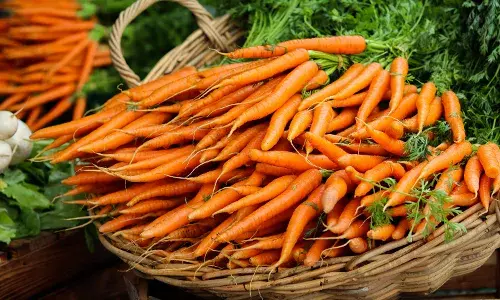 Crazy about carrots: Here are two recipes that will make your day