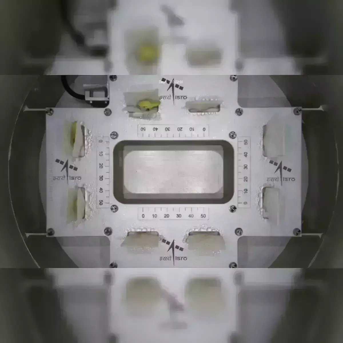 Cowpea seedlings onboard ISROās POEM-4 sprout first leaves in space