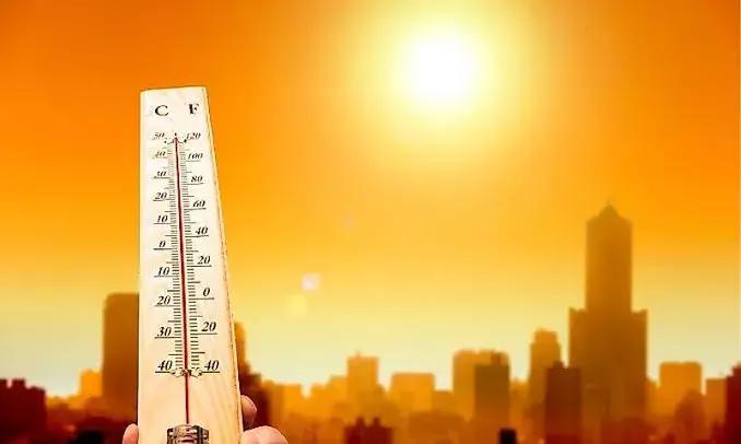 2024 becomes warmest year on record, 1st to breach 1.5 deg C guardrail