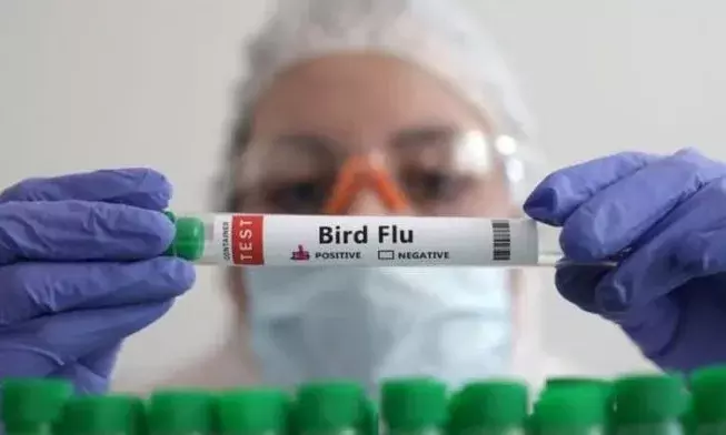 Amid bird flu concerns, Nagpur zoo temporarily halts chicken meals for wild animals