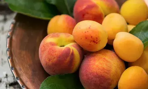 The Golden Fruit of Health: Must-try apricot recipes from stew to jam