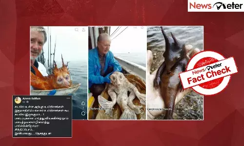 Fact Check: ą®
ą®±ąÆą®ŖąÆą®¤ ą®ą®Æą®æą®°ą®æą®©ą®ąÆą®ą®³ąÆ ą®ą®ą®²ą®æą®²ąÆ ą®Ŗą®æą®ą®æą®ąÆą®ą®ŖąÆą®Ŗą®ąÆą®ą®¤ą®¾ą® ą®µąÆą®°ą®²ą®¾ą®ąÆą®®ąÆ ą®ą®¾ą®£ąÆą®²ą®æą®Æą®æą®©ąÆ ą®ą®£ąÆą®®ąÆ ą®ą®©ąÆą®©?