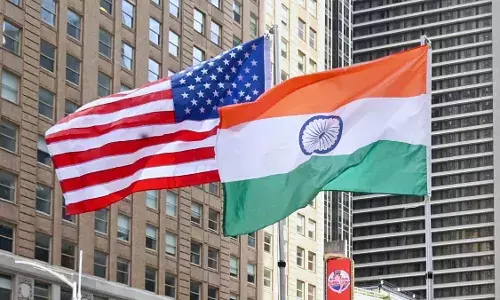 Govt panel recommends action against unnamed individual for undermining security interests of India, US