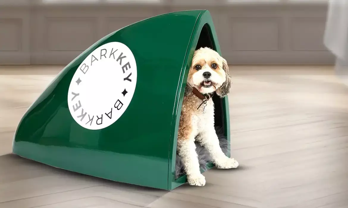 Hyderabad-based SVAG Pet Homes unveils Barkitecture product line for dogs