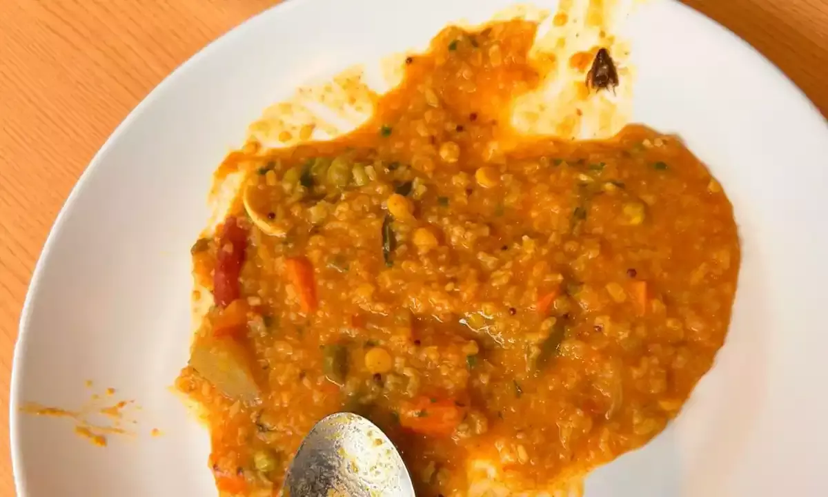 Begumpet Minerva Hotel customer finds insects in sambhar rice, files complaint with food safety