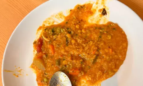 Begumpet Minerva Hotel customer finds insects in sambhar rice, files complaint with food safety