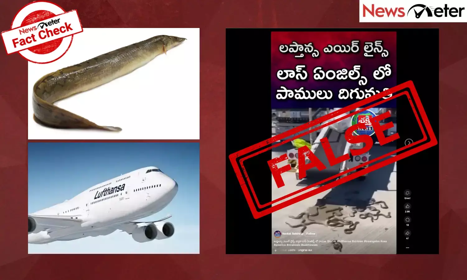 A video of creatures slithering on an airport’s tarmac has gone viral as Los Angeles’ cargo of snake imports by Lufthansa Airlines becoming public.