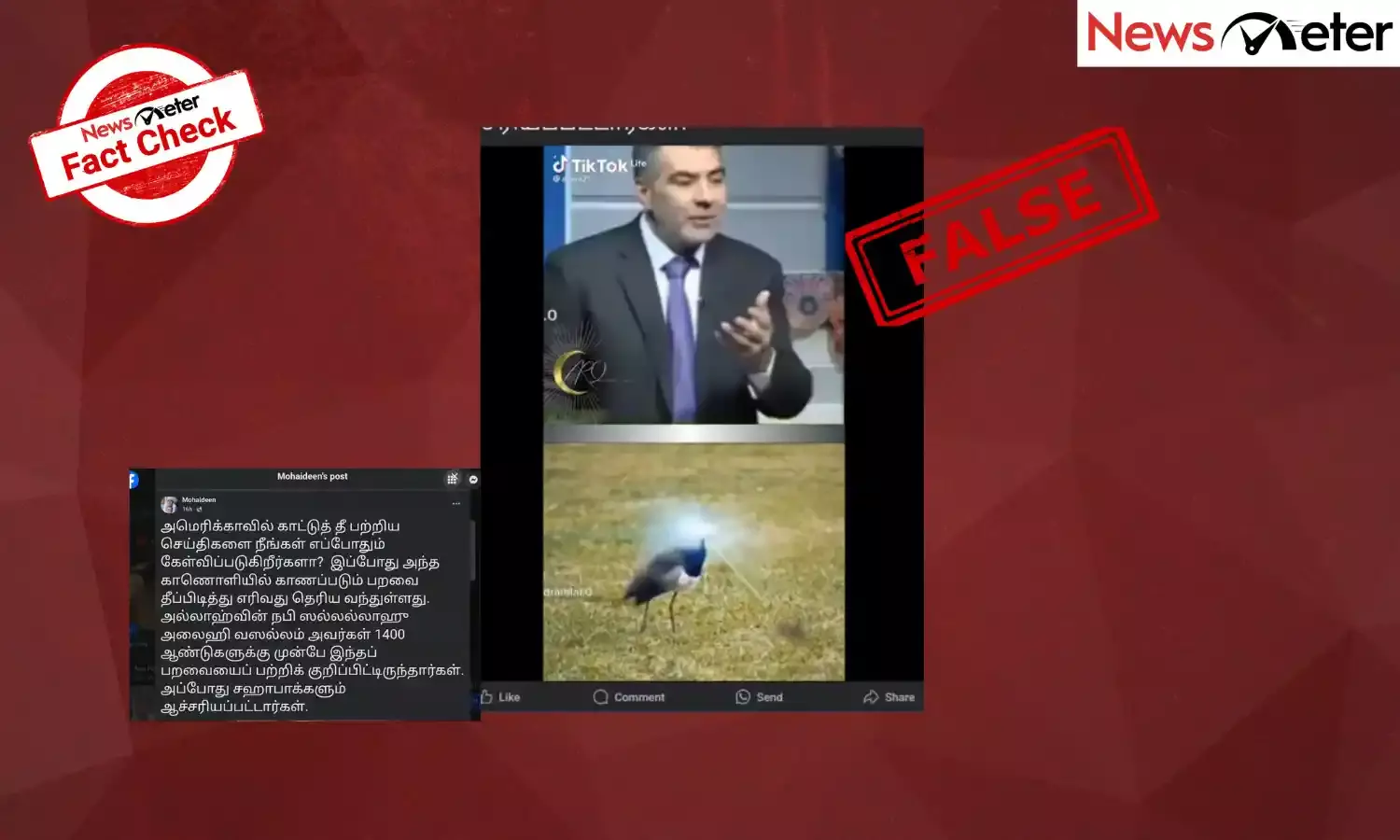 Fact Check: நெருப்பை வெளியிடும் பறவை தான் லாஸ் ஏஞ்சல்ஸில் ஏற்பட்ட காட்டுத்தீக்கு காரணம் என பரவும் செய்தியின் உண்மை என்ன?