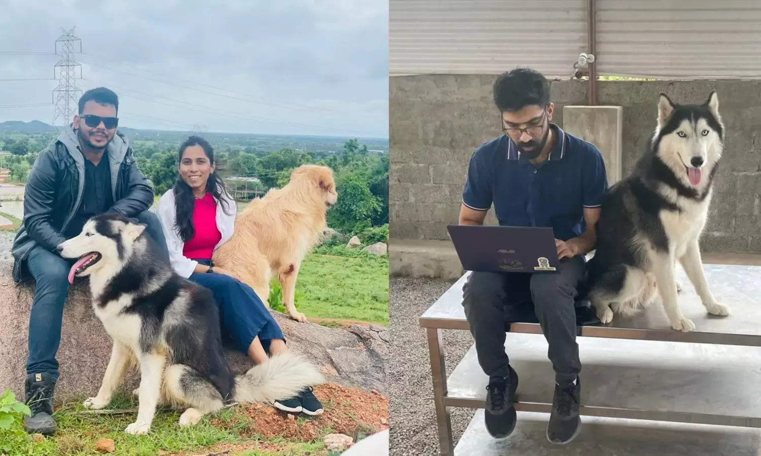 From nutrition to behaviour, learn holistic dog care at Happy Doggo in Hyderabad