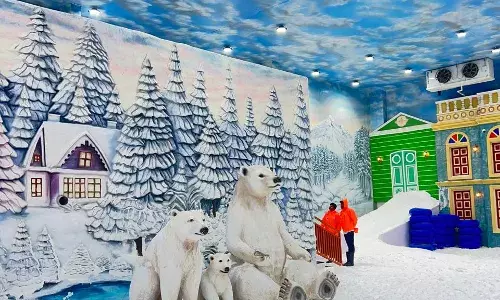 Snow Stationā: A slice of Kashmir at Andhraās first dedicated indoor snow park in Vizag