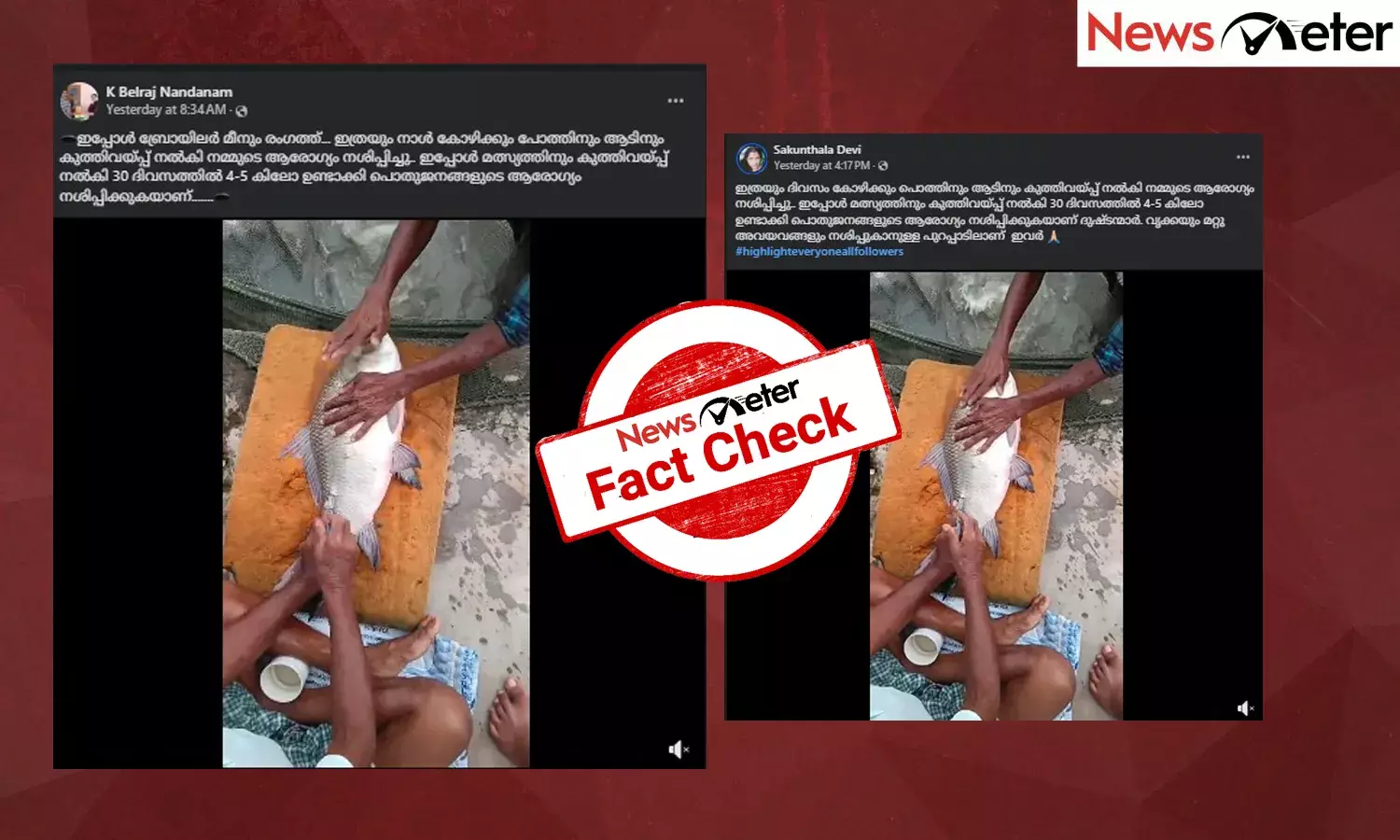 Fact Check: കുത്തിവെയ്പ്പിലൂടെ മത്സ്യങ്ങളുടെ ഭാരംകൂട്ടുന്നോ? വീഡിയോയുടെ വാസ്തവമറിയാം