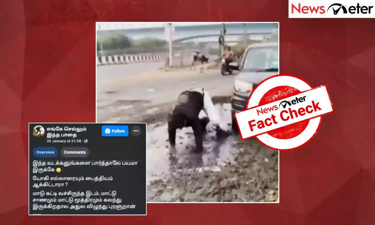 Fact Check: உபி- யில் மாடுகள் கட்டிப்போடும் இடத்தில் படுத்து புரளுகிறாரா வலதுசாரி ஆதரவாளர்?