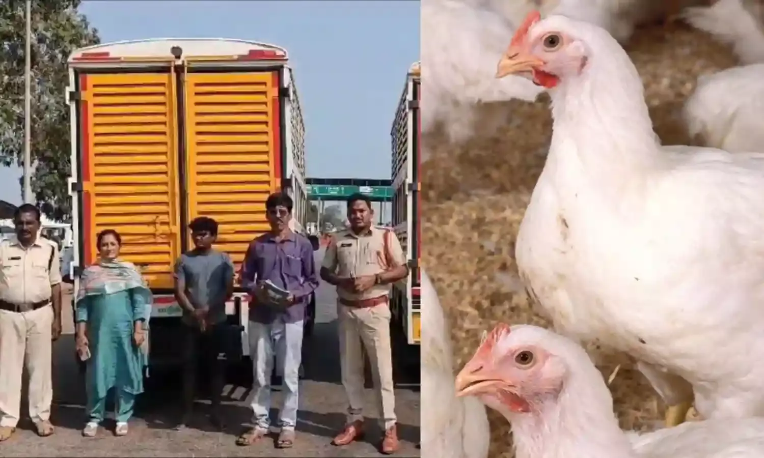 Bird flu: Telangana intensifies checks on borders to prevent infected poultry imports