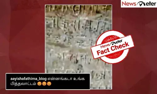 Fact Check: தஞ்சை பெரிய கோயிலில் இந்தி மொழி கல்வெட்டுகள் உள்ளனவா? உண்மை என்ன