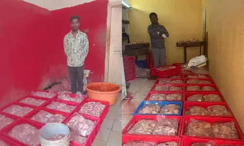 600 kg rotten chicken meat for fast food centres, wine shops seized from two Begumpet shops