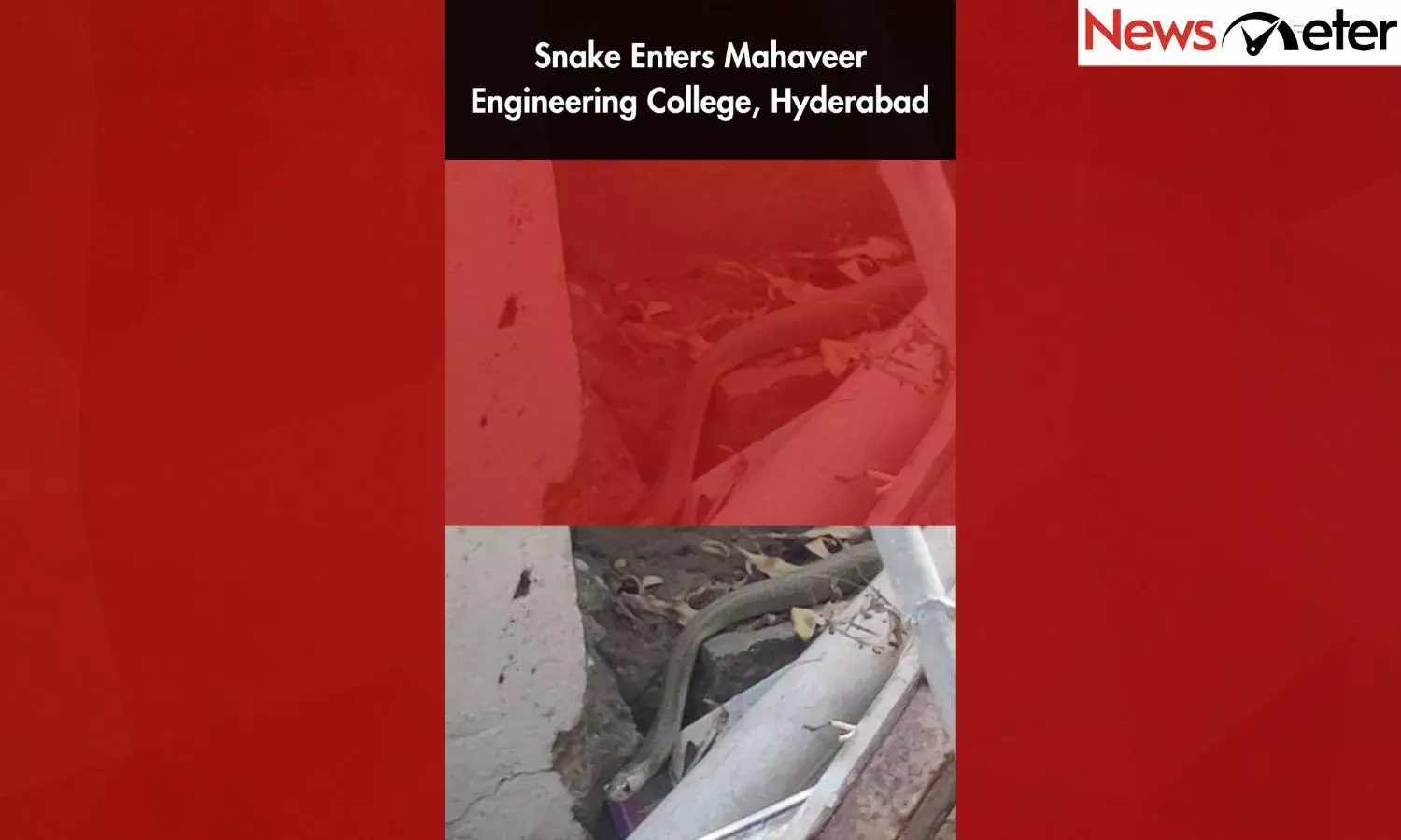 Snake Enters Mahaveer Engineering College, Hyderabad