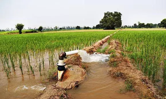 Telangana govt prioritises water for drinking, irrigation as summer heat intensifies