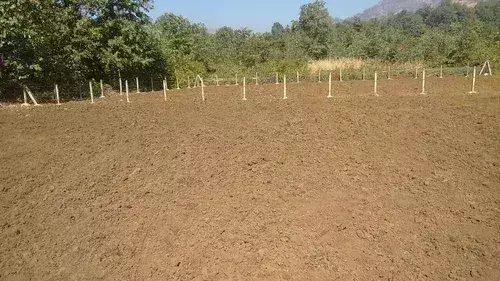 Donāt buy farm plots in unauthorised layouts: HYDRAA chief Ranganath warns public