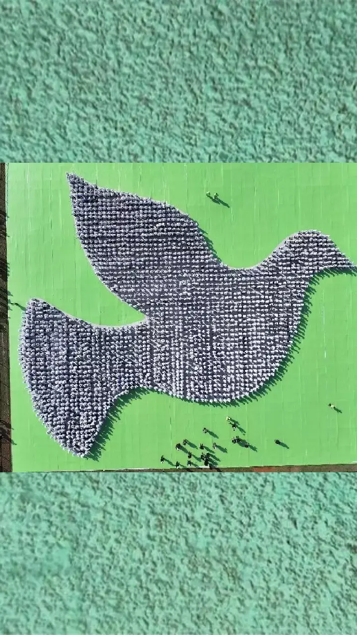 Hyderabad Sets Guinness World Record with Largest Human Dove Formation