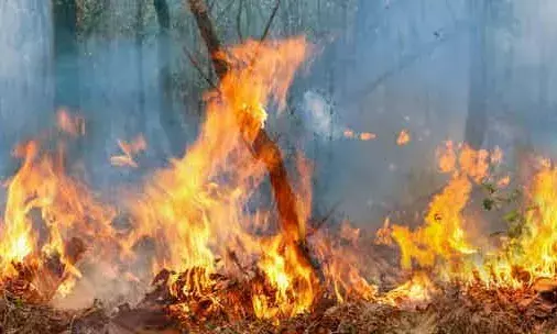 Hyderabad: Fire breaks out at MN Polymers in  Kukatpally; no injuries