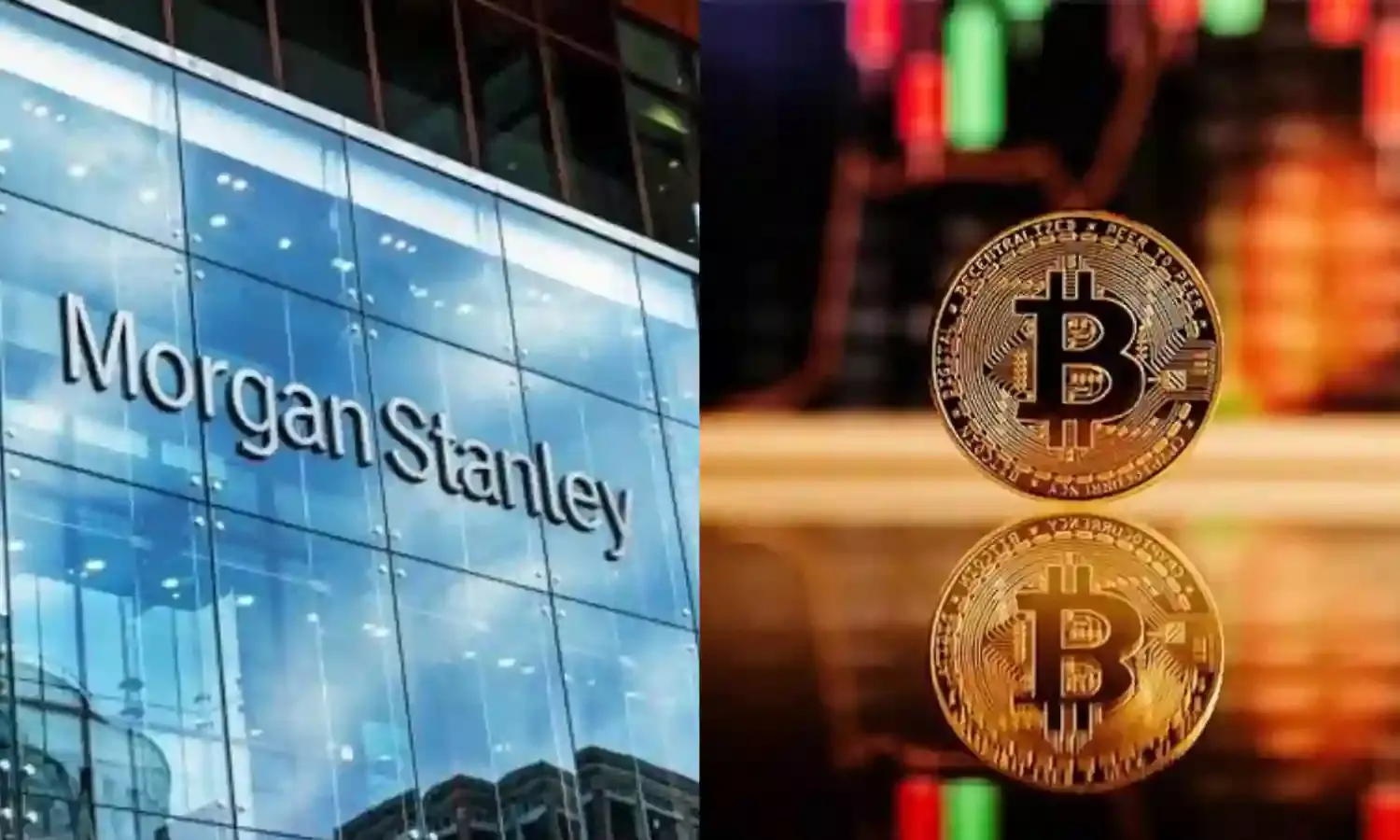 How crypto scammers impersonating Morgan Stanley cheated Hyderabad techie of ₹52L
