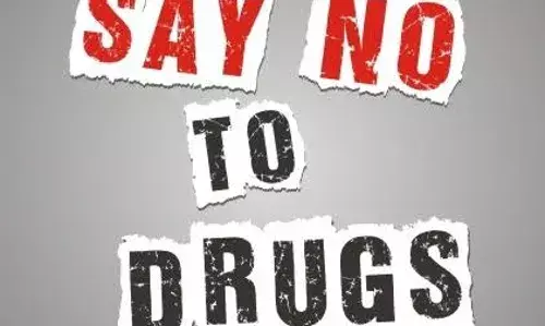 53,097 kg cannabis seized, 5,045 peddlers arrested: Andhra Pradesh wages massive war on drugs