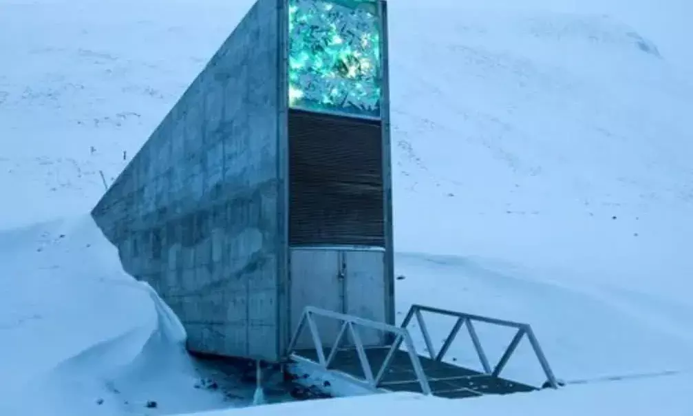 Tree of Life: CIFOR-ICRAF hands over 120K seeds of 19 African tree species to Doomsday Vault